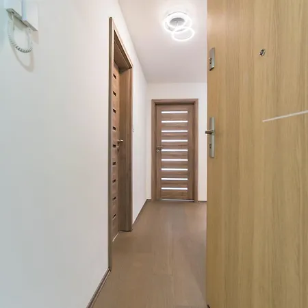 Cedrus Luxory Apartment Szeged