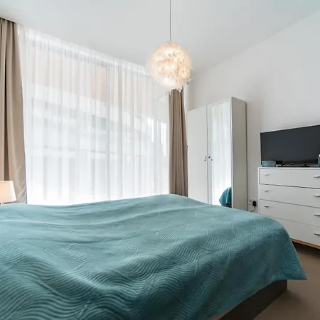 Cedrus Luxory * Szeged