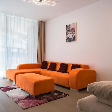 Cedrus Luxory Szeged